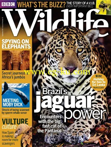 BBC Wildlife – September 2016-P2P的图片1