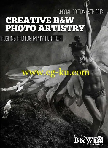 Creative B&W Photo Artistry – Special Edition, September 2016-P2P的图片1