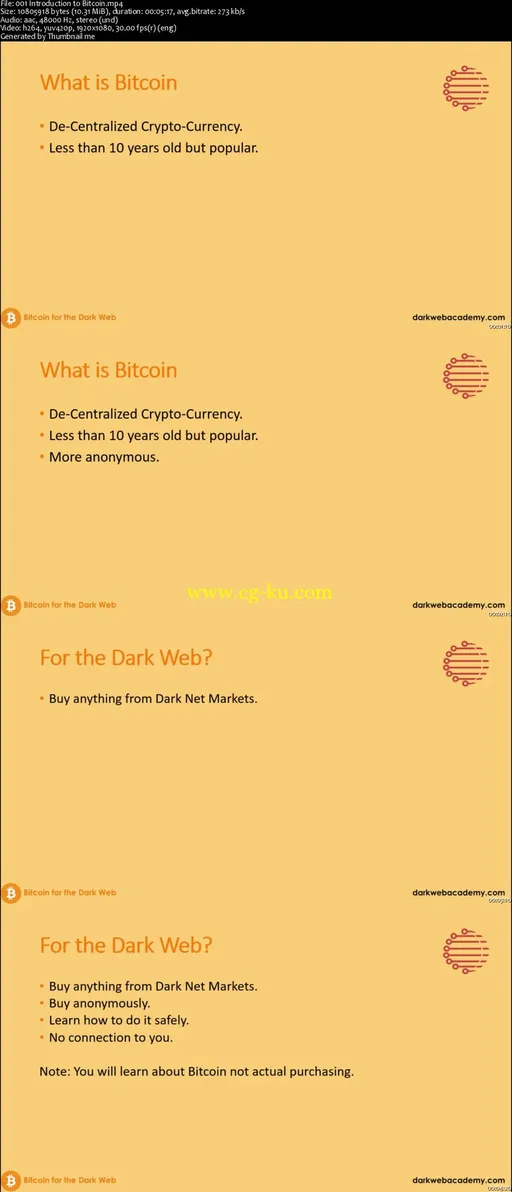 Bitcoin for the Dark Web (2016)的图片2