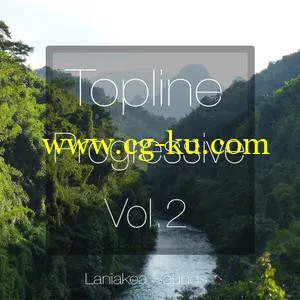 Laniakea Sounds Topline Progressive Vol 2 WAV MiDi的图片1