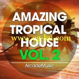 ArcadeMusic Amazing Tropical House Vol 2 WAV MiDi的图片1