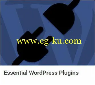 TutsPlus – Essential WordPress Plugins的图片1