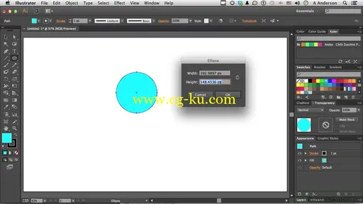 Learning Adobe Illustrator CC的图片2