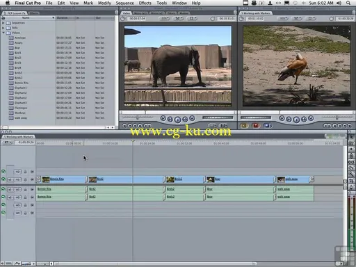 Infinite Skills – Learning To Use Final Cut Pro 7 Training Video的图片4