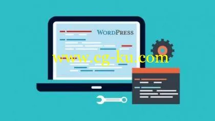 WordPress plugin development & marketing WordPress plugins (2016)的图片1