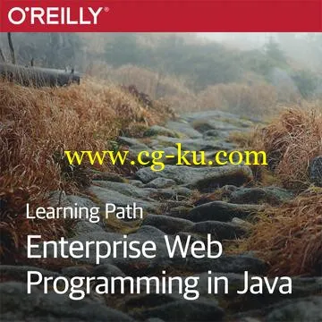 O’Reilly Learning Paths – Enterprise Web Programming in Java的图片1