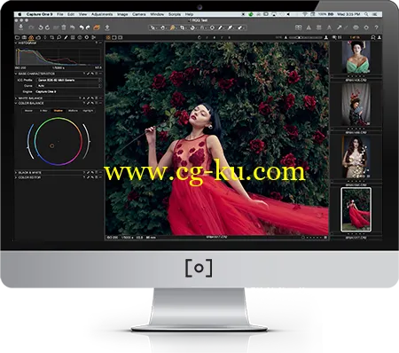 RGGEDU – Capture One Pro 9 Tutorial For Photographers的图片1