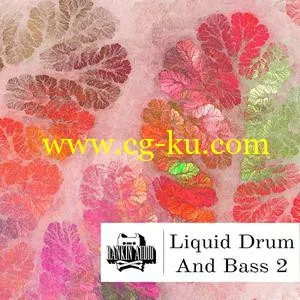 Rankin Audio Liquid Drum and Bass 2 WAV的图片1