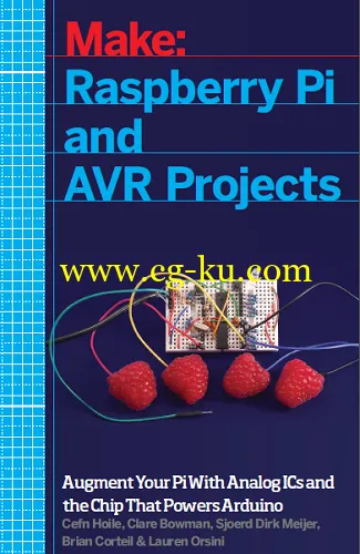 Make: Raspberry Pi and AVR Projects-rebOOk的图片1