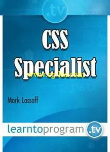 CSS Specialist的图片1