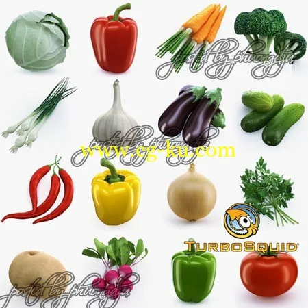 TurboSquid – Collection of Vegetables 蔬菜模型的图片1