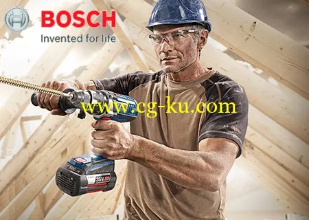 BOSCH Service Info System 2013 version 6.0.27.0的图片1