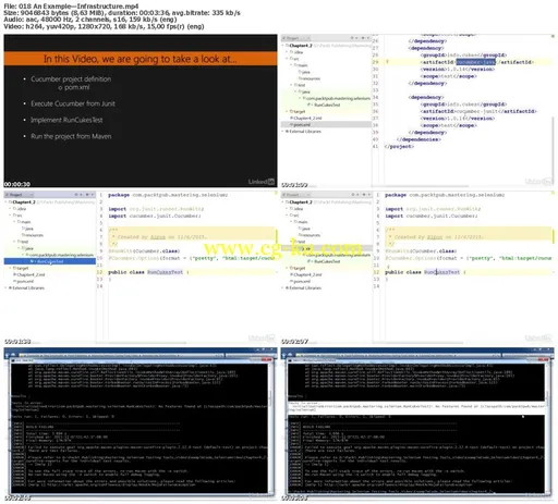 Lynda – Mastering Selenium Testing Tools的图片2