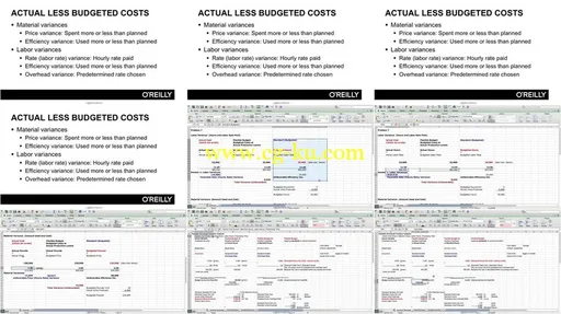 Budgeting for Your Business Training Video的图片2