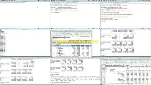 Data Wrangling and Analysis with Python Training Video的图片2