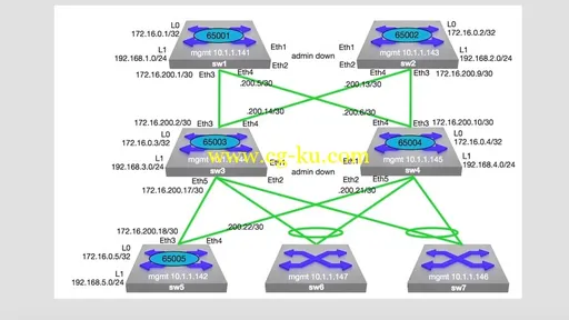 Configuring Arista Network Switches Training Video的图片1