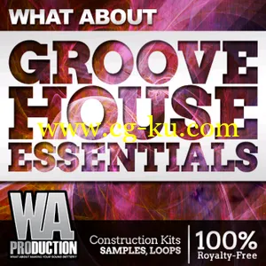 WA Production What About Groove House Essentials ACiD WAV MiDi的图片1