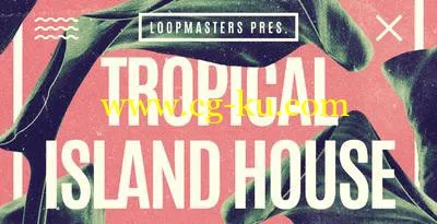 Loopmasters Tropical Island House WAV MiDi REX的图片1