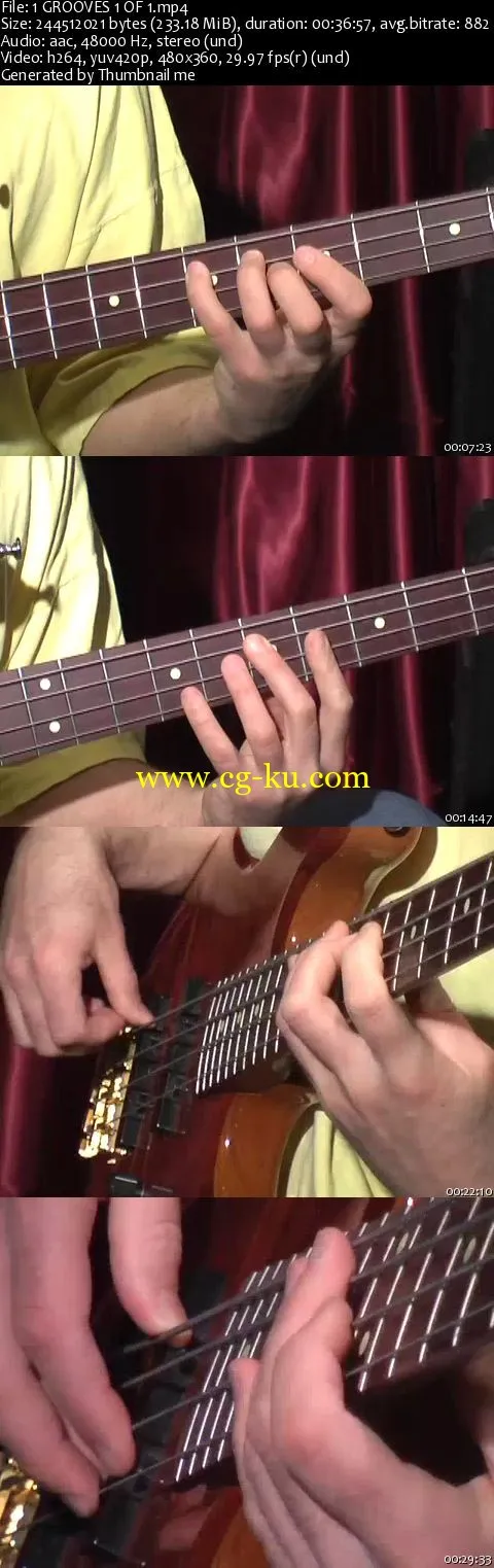 BASS GROOVES 1的图片2