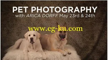 Pet Photography with Arica Dorff的图片1