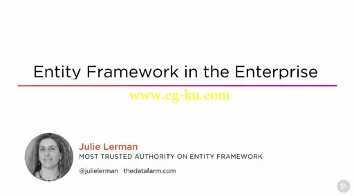 Entity Framework in the Enterprise (2016)的图片2