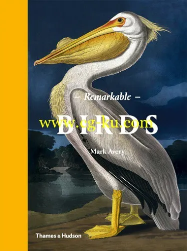 Remarkable Birds-P2P的图片1