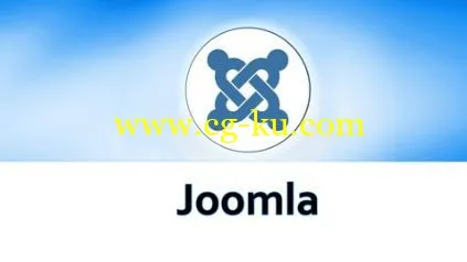 Learn How To Build A Professional Web Site By Using Joomla (2016)的图片1