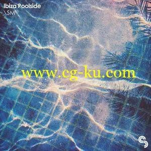 Sample Magic Ibiza Poolside MULTiFORMAT的图片1