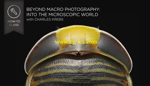 Beyond Macro Photography: Into the Microscopic World的图片1