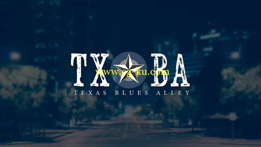 Texas Blues Alley – Mini-Courses – Complete Box-Set的图片1