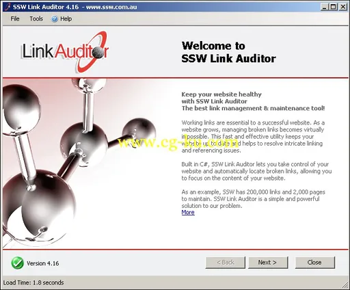 SSW Link Auditor 4.41的图片1