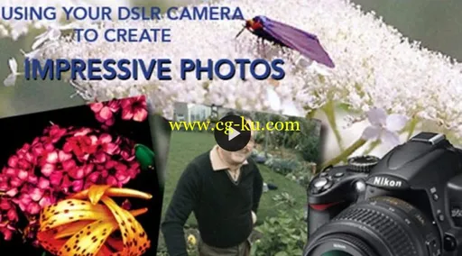 Using Your DSLR to Create Impressive Photos的图片3