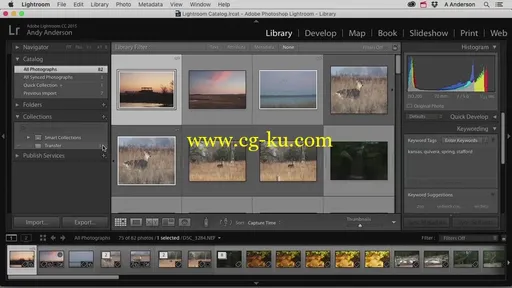 Infinite Skills – Integrating Lightroom with Photoshop (2016)的图片2