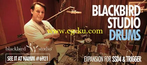 Steven Slate SSD4 Blackbird Studio Drums Expansion的图片1