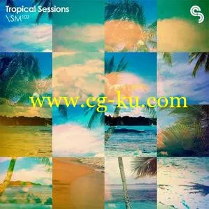 Sample Magic Tropical Sessions MULTiFORMAT的图片1