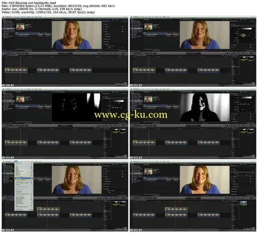 Lynda – Final Cut Pro X Guru: Blending Mode Secrets的图片2