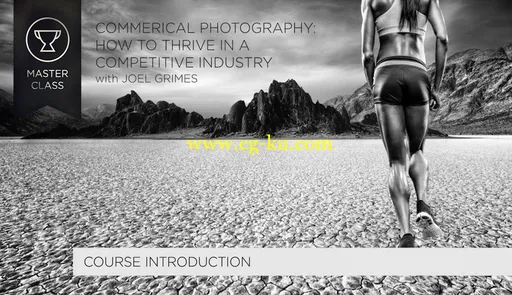 Commercial Photography – Thriving in a Competitive Industry的图片1