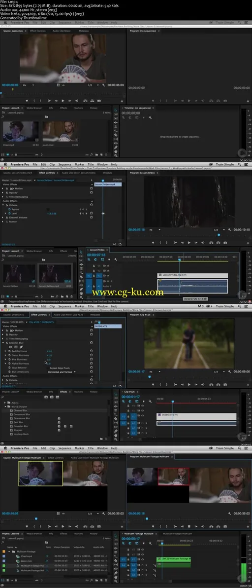 Premiere Pro CC Building on the Fundamentals (2016)的图片2