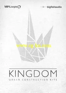 Big Fish Audio & Vip Loops – Kingdom MULTiFORMAT的图片1