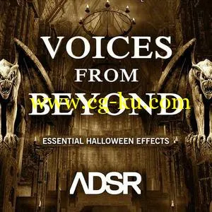 ADSR Sounds Voices From Beyond WAV AiFF的图片1