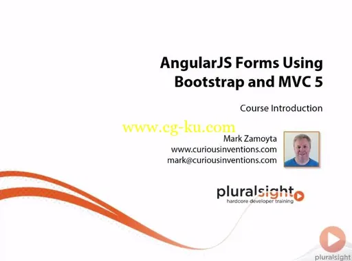 AngularJS Forms Using Bootstrap and MVC 5的图片1