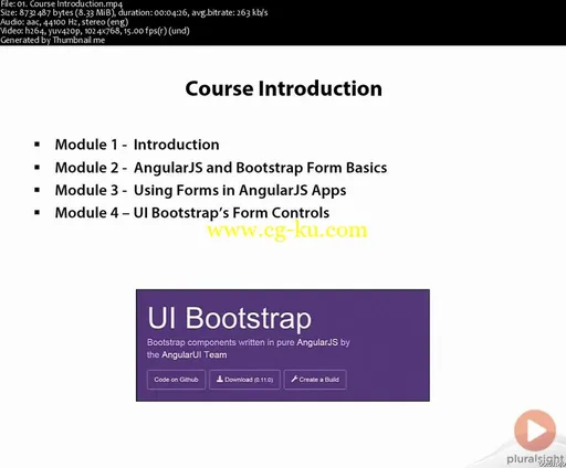 AngularJS Forms Using Bootstrap and MVC 5的图片2