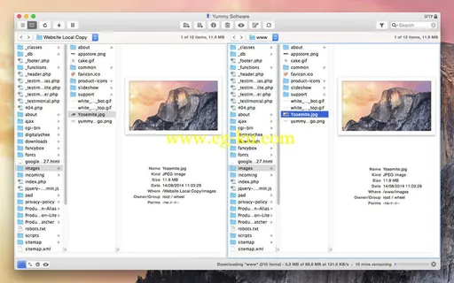 Yummy FTP Pro 1.11.12的图片1