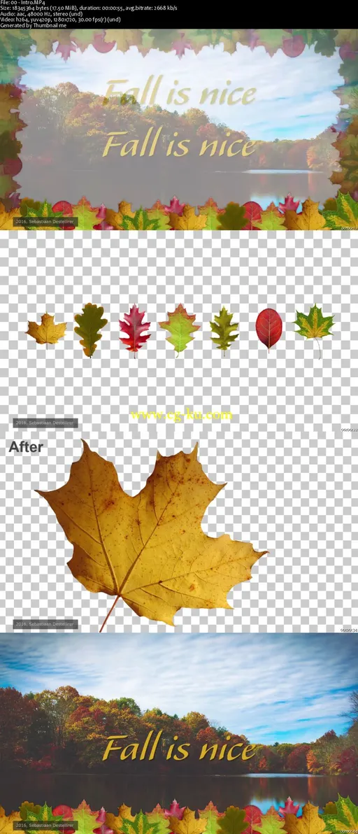 Capture the Fall – Create your own Fall Themed Picture borders in Adobe Photoshop的图片2