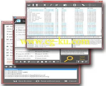 Duplicate File Finder Plus 6.0 Build 032的图片1