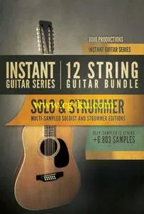 8Dio Instant Guitar Series 12-String Guitar Bundle KONTAKT的图片1