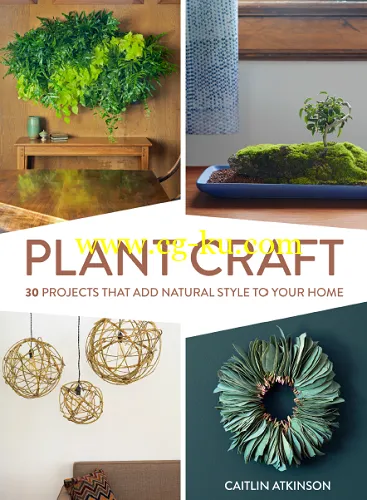 Plant Craft-P2P的图片1