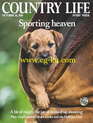 Country Life UK – 26 October 2016-P2P的图片1