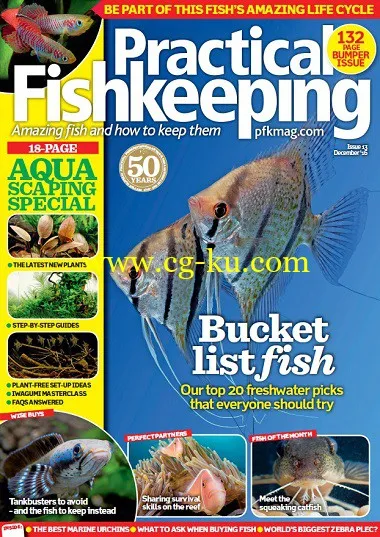 Practical Fishkeeping – December 2016-P2P的图片1