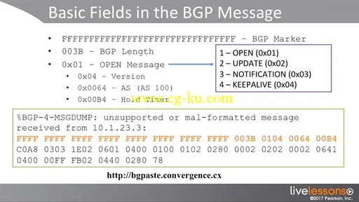 BGP Troubleshooting的图片2